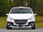 Peugeot 208 R2 Rally Car 2012 года